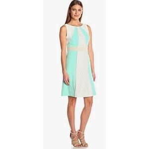 Sandra Darren lace detail sheath dress green  Size 6p office party baby shower